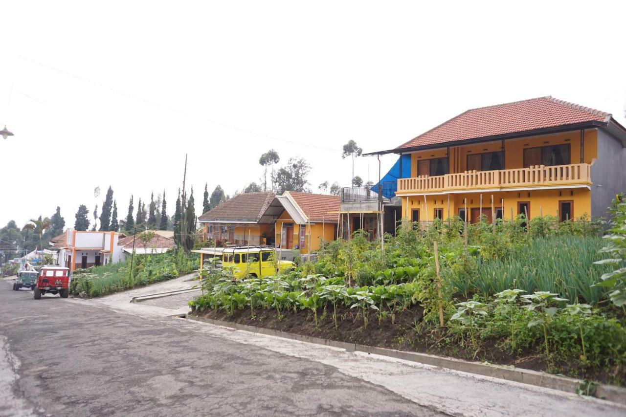 Homestay Lereng Μπρόμο Εξωτερικό φωτογραφία