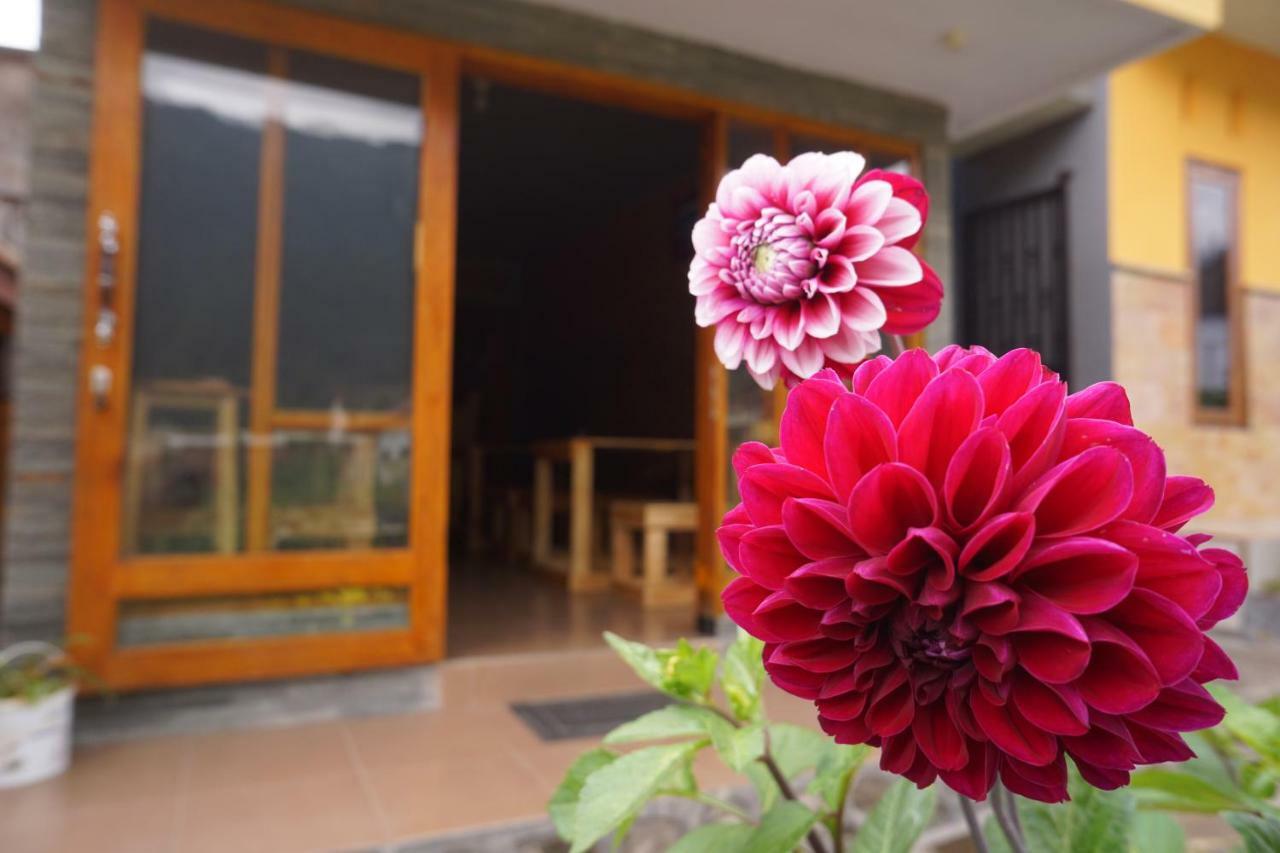 Homestay Lereng Μπρόμο Εξωτερικό φωτογραφία